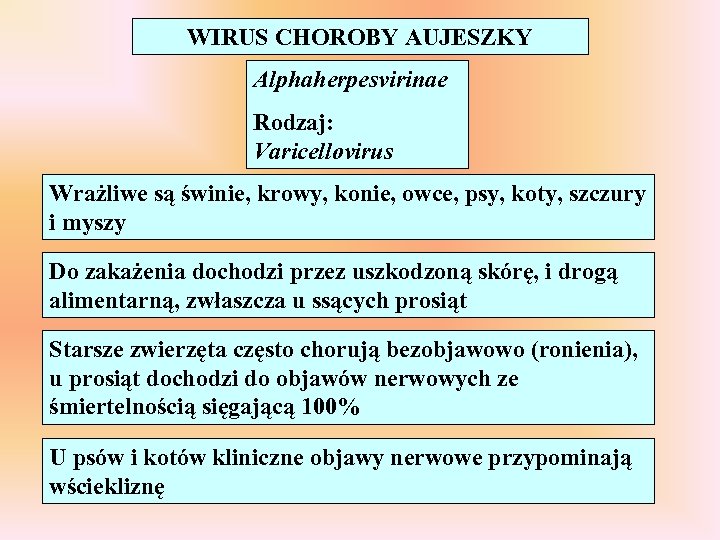 WIRUS CHOROBY AUJESZKY Alphaherpesvirinae Rodzaj: Varicellovirus Wrażliwe są świnie, krowy, konie, owce, psy, koty,