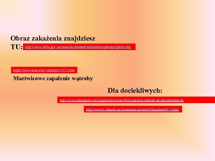 Obraz zakażenia znajdziesz TU: http: //www. defra. gov. uk/animalh/diseases/notifiable/aujeszkys/photo. htm https: //www. msu. edu/~ramosjo/14552.