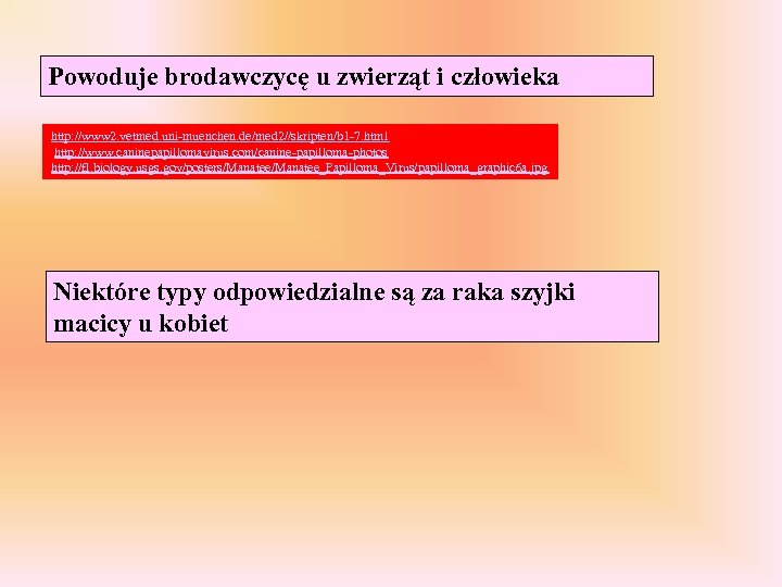 Powoduje brodawczycę u zwierząt i człowieka http: //www 2. vetmed. uni-muenchen. de/med 2//skripten/b 1