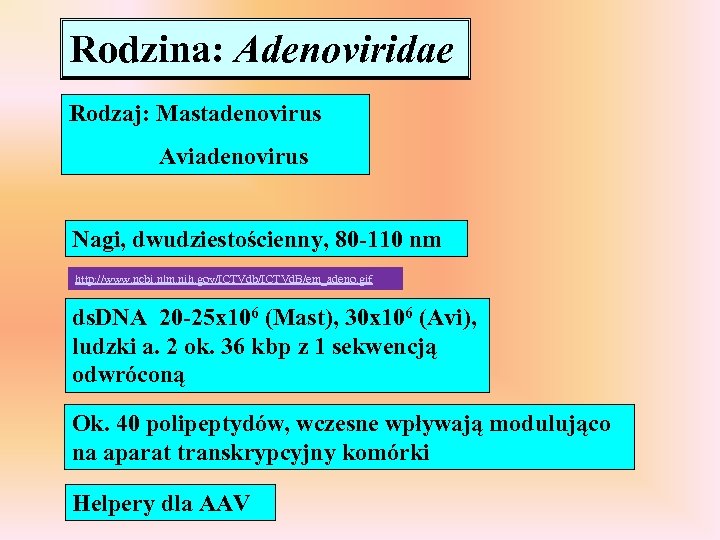 Rodzina: Adenoviridae Rodzaj: Mastadenovirus Aviadenovirus Nagi, dwudziestościenny, 80 -110 nm http: //www. ncbi. nlm.
