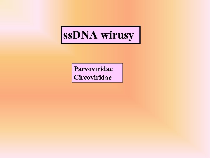 ss. DNA wirusy Parvoviridae Circoviridae 