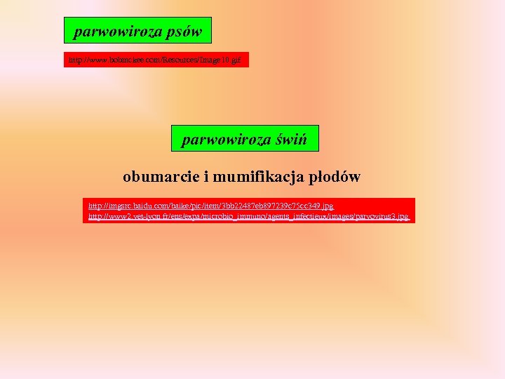 parwowiroza psów http: //www. bobmckee. com/Resources/Image 10. gif parwowiroza świń obumarcie i mumifikacja płodów