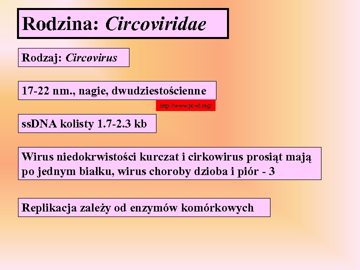Rodzina: Circoviridae Rodzaj: Circovirus 17 -22 nm. , nagie, dwudziestościenne http: //www. pcvd. org/