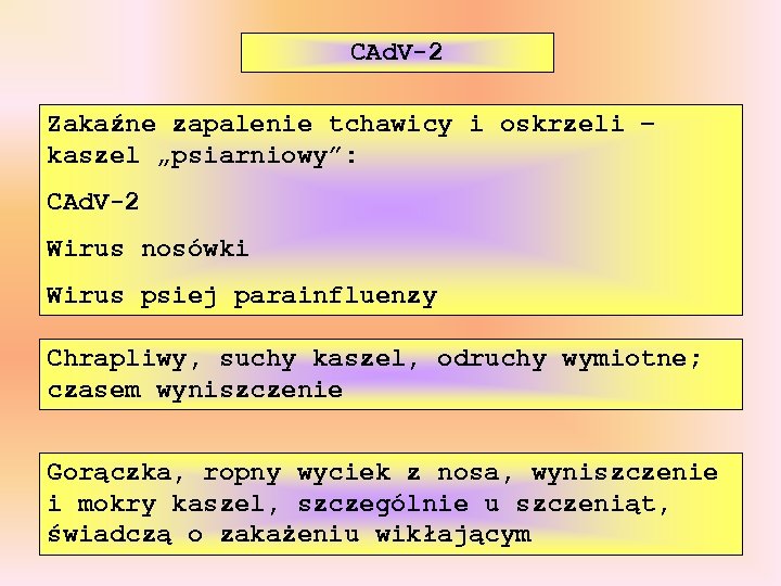 CAd. V-2 Zakaźne zapalenie tchawicy i oskrzeli – kaszel „psiarniowy”: CAd. V-2 Wirus nosówki