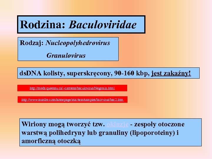 Rodzina: Baculoviridae Rodzaj: Nucleopolyhedrovirus Granulovirus ds. DNA kolisty, superskręcony, 90 -160 kbp, jest zakaźny!