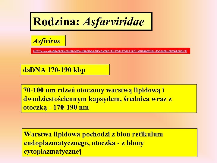 Rodzina: Asfarviridae Asfivirus http: //www. virustaxonomyonline. com/virtax/lpext. dll/vtax/agp-0013/dd 13 -fg? f=templates&fn=document-frame. htm&2. 0 ds.