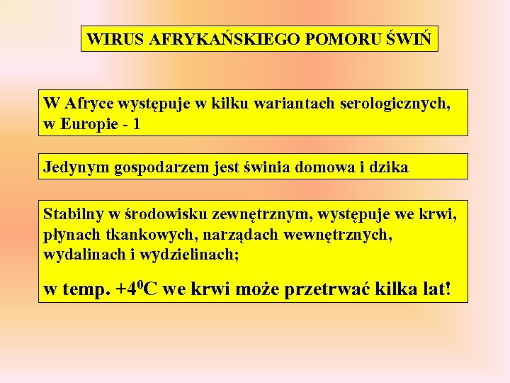 WIRUS AFRYKAŃSKIEGO POMORU ŚWIŃ W Afryce występuje w kilku wariantach serologicznych, w Europie -