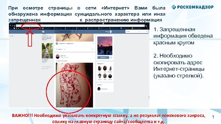 При осмотре страницы в сети «Интернет» Вами была обнаружена информация суицидального характера или иная