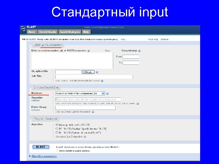 Стандартный input 