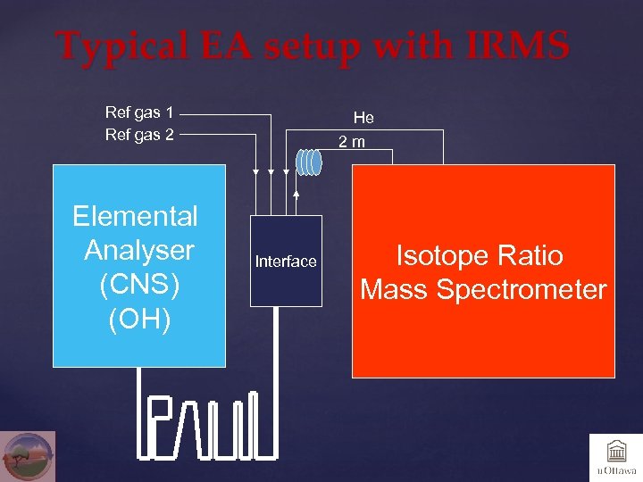 Typical EA setup with IRMS Ref gas 1 Ref gas 2 Elemental Analyser (CNS)