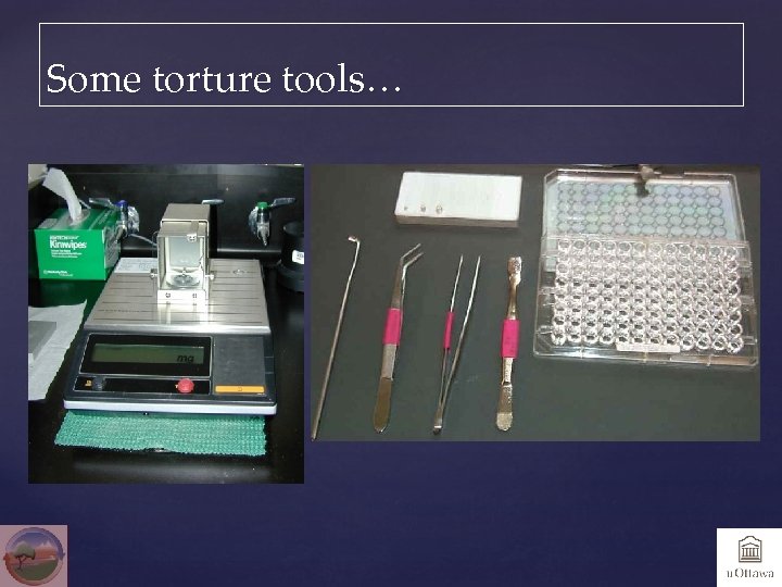 Some torture tools… 