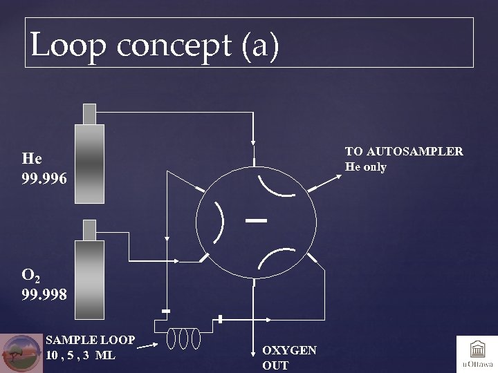 Loop concept (a) TO AUTOSAMPLER He only He 99. 996 O 2 99. 998