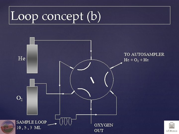 Loop concept (b) TO AUTOSAMPLER He + O 2 + He He O 2