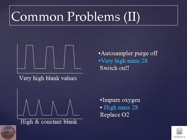 Common Problems (II) • Autosampler purge off • Very high mass 28 Switch on!!