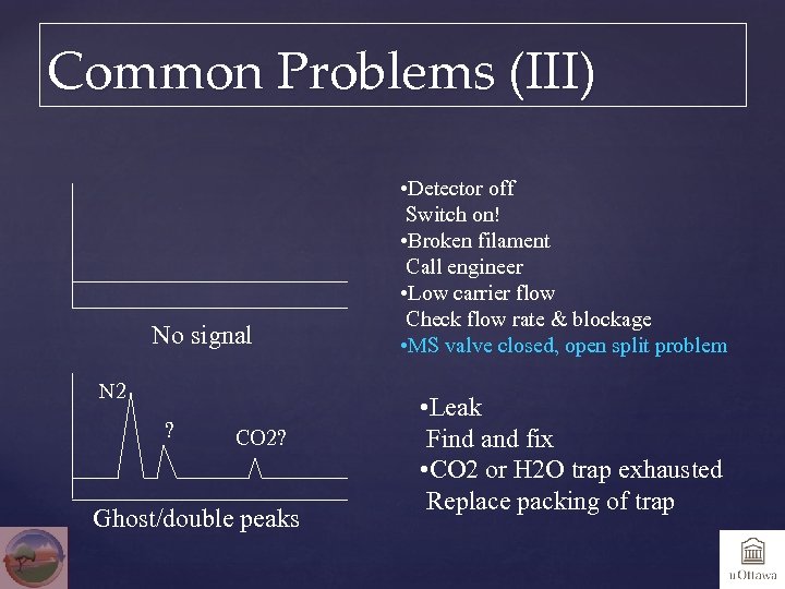 Common Problems (III) No signal N 2 ? CO 2? Ghost/double peaks • Detector