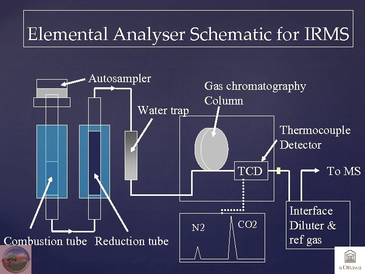 Elemental Analyser Schematic for IRMS Autosampler Water trap Gas chromatography Column Thermocouple Detector TCD