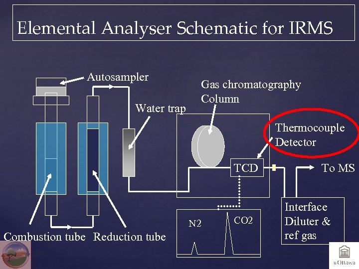 Elemental Analyser Schematic for IRMS Autosampler Water trap Gas chromatography Column Thermocouple Detector TCD