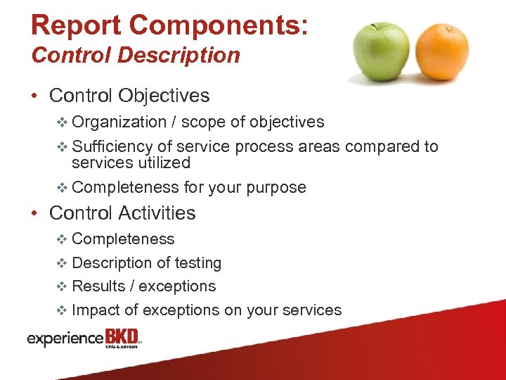 Report Components: Control Description • Control Objectives v Organization / scope of objectives v