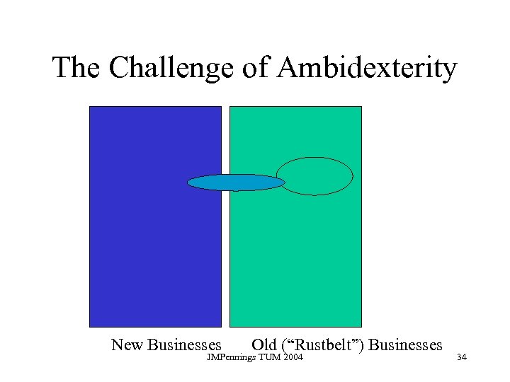 The Challenge of Ambidexterity New Businesses Old (“Rustbelt”) Businesses JMPennings TUM 2004 34 