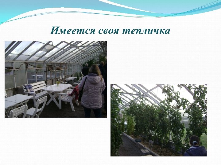 Имеется своя тепличка 