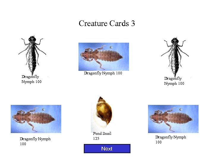 Creature Cards 3 Dragonfly Nymph 100 Pond Snail 125 Next Dragonfly Nymph 100 