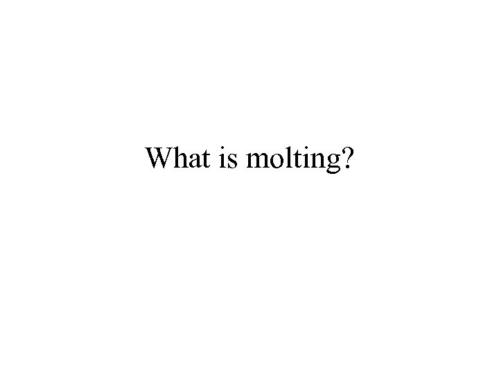 What is molting? 