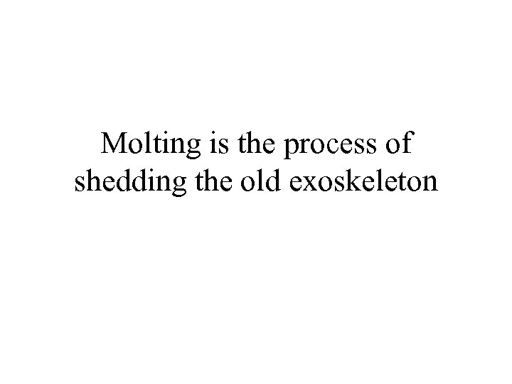 Molting is the process of shedding the old exoskeleton 