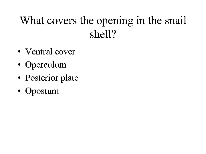What covers the opening in the snail shell? • • Ventral cover Operculum Posterior