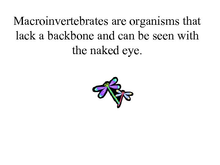 Macroinvertebrates are organisms that lack a backbone and can be seen with the naked