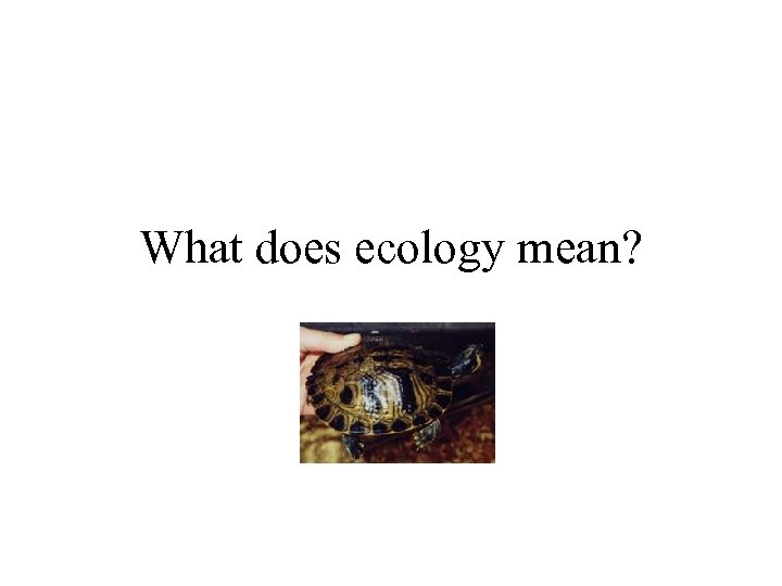 What does ecology mean? 