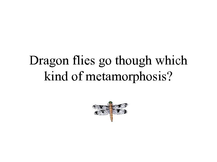 Dragon flies go though which kind of metamorphosis? 