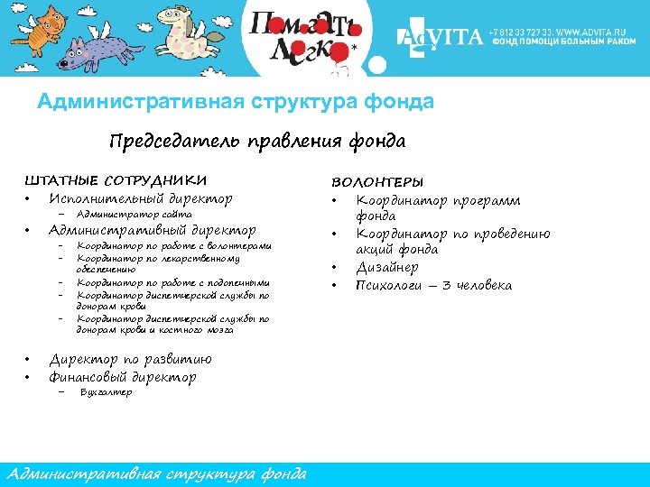 Административная структура фонда Председатель правления фонда ШТАТНЫЕ СОТРУДНИКИ • Исполнительный директор • – Администратор