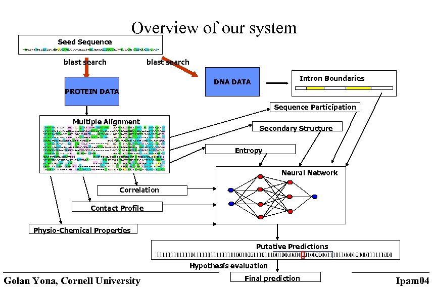 Overview of our system Seed Sequence blast search Intron Boundaries DNA DATA PROTEIN DATA