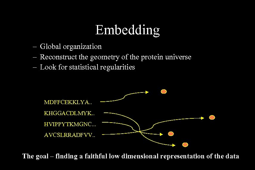 Embedding – Global organization – Reconstruct the geometry of the protein universe – Look