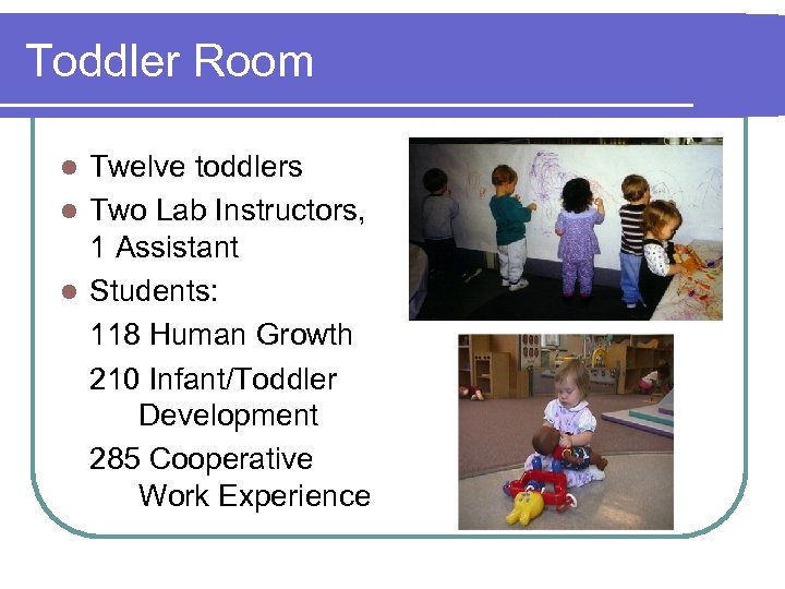 Toddler Room Twelve toddlers l Two Lab Instructors, 1 Assistant l Students: 118 Human
