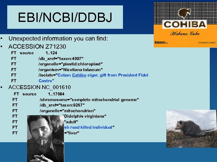 EBI/NCBI/DDBJ • Unexpected information you can find: • ACCESSION Z 71230 FT source FT