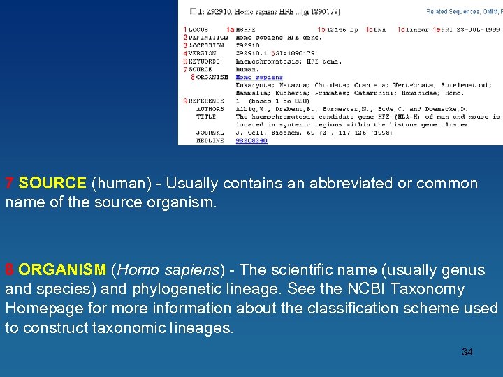 7 SOURCE (human) - Usually contains an abbreviated or common name of the source