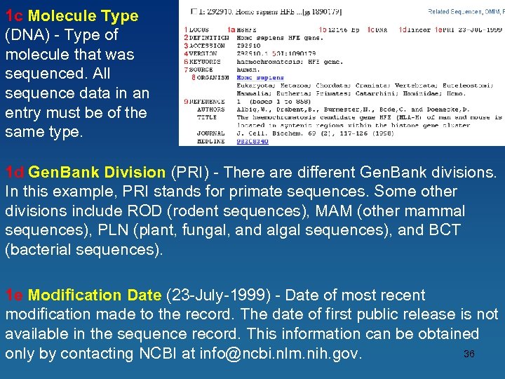 1 c Molecule Type (DNA) - Type of molecule that was sequenced. All sequence
