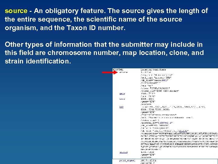 source - An obligatory feature. The source gives the length of the entire sequence,