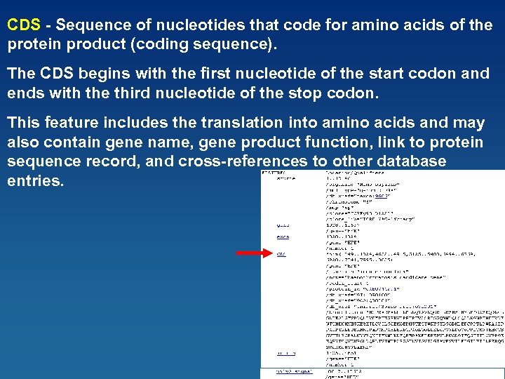 CDS - Sequence of nucleotides that code for amino acids of the protein product