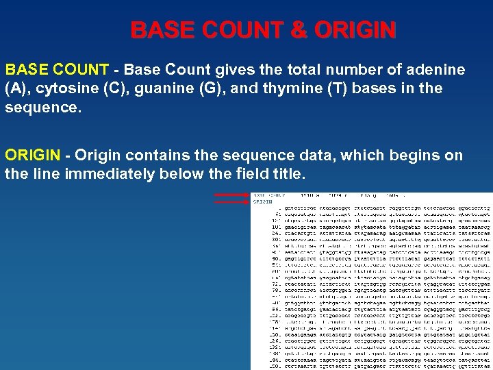BASE COUNT & ORIGIN BASE COUNT - Base Count gives the total number of