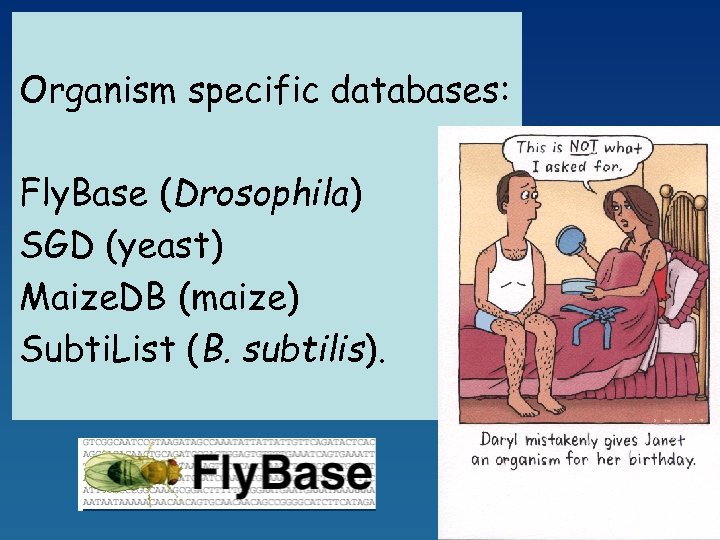 Organism specific databases: Fly. Base (Drosophila) SGD (yeast) Maize. DB (maize) Subti. List (B.