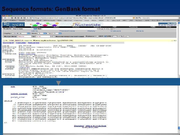Sequence formats: Gen. Bank format 