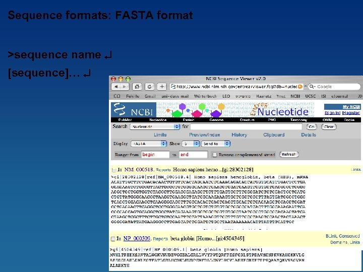 Sequence formats: FASTA format >sequence name [sequence]… 