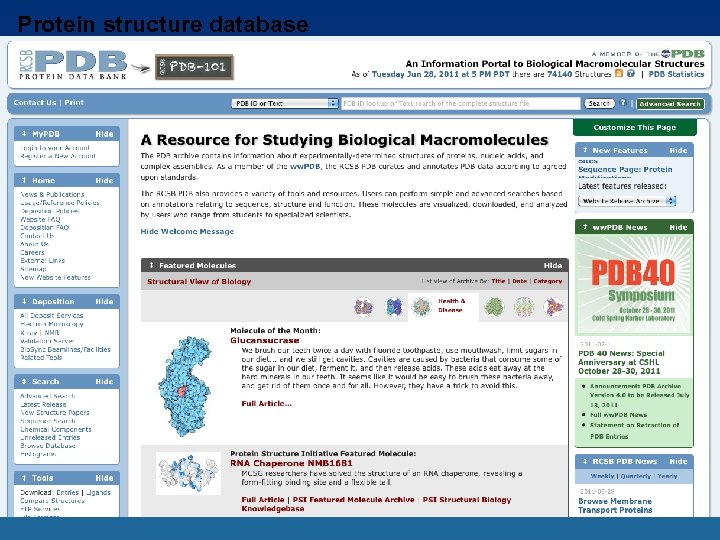 Protein structure database 