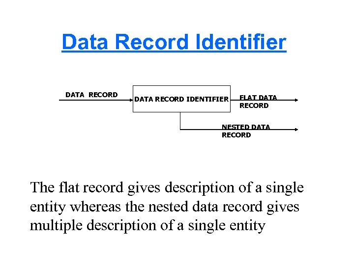 Data Record Identifier DATA RECORD IDENTIFIER FLAT DATA RECORD NESTED DATA RECORD The flat