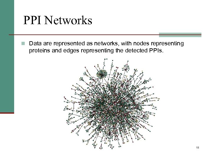 PPI Networks n Data are represented as networks, with nodes representing proteins and edges