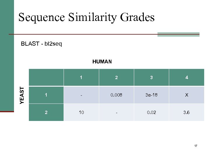 Sequence Similarity Grades BLAST - bl 2 seq HUMAN YEAST 1 2 3 4