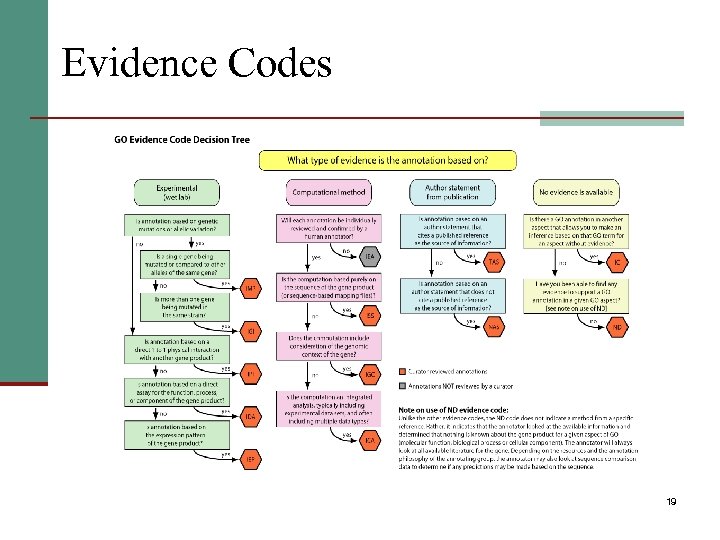 Evidence Codes 19 
