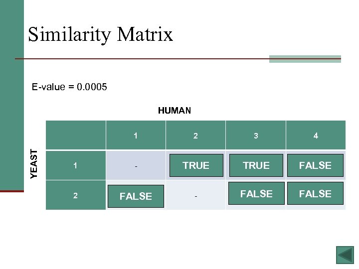 Similarity Matrix E-value = 0. 0005 HUMAN YEAST 1 2 3 4 1 -